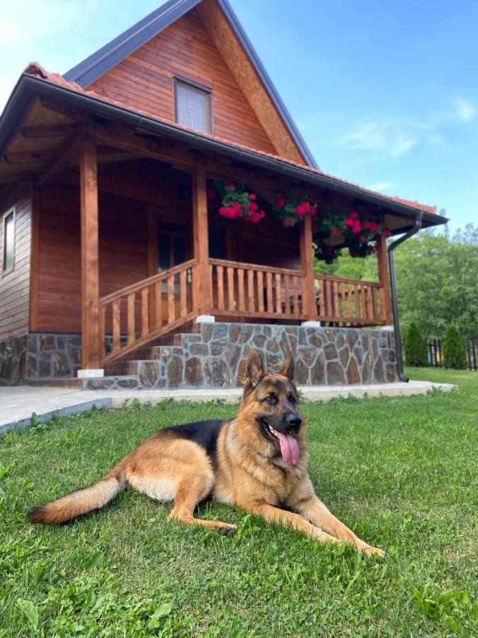 Apartments Bogdanovic Mokra Gora Bagian luar foto